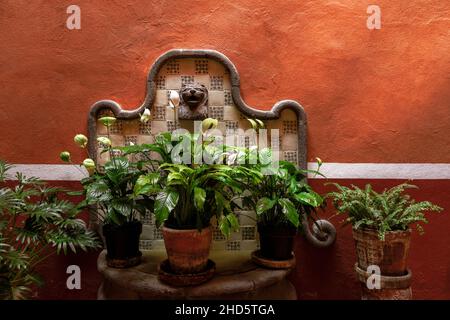 Lilas, fougères et autres plantes en pot dans un environnement rustique avec murs de couleur terre cuite et carrelage décoratif dans la cour de l'espace public Banque D'Images