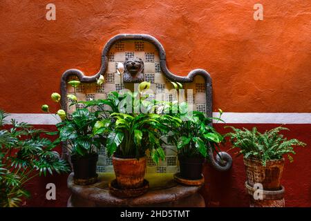 Lilies de paix, fougères et autres plantes en pot dans un environnement rustique avec murs en terre cuite et carreaux décoratifs dans la cour de l'espace public, Mexique Banque D'Images