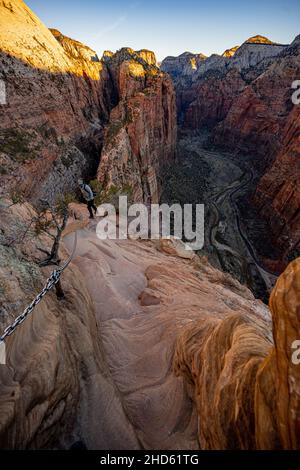 Le randonneur regarde vers l'arrière en descendant d'Angels Landing dans le parc national de Zion Banque D'Images