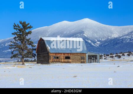 ancienne grange en bois sous le mont baldy en hiver près de townsend, montana Banque D'Images