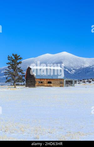 ancienne grange en bois sous le mont baldy en hiver près de townsend, montana Banque D'Images
