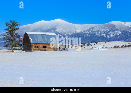 ancienne grange en bois sous le mont baldy en hiver près de townsend, montana Banque D'Images
