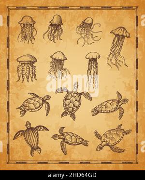 Éléments de carte vintage, croquis de méduses et de tortues de mer.Animaux de l'eau vecteur de haute mer, reptiles sous-marins dessinés à la main et gelées de mer sur le grunge pa Illustration de Vecteur