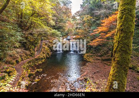 L'eau des cours d'eau de montagne tombant dans le jardin de rochers couvrait les feuilles d'automne Banque D'Images