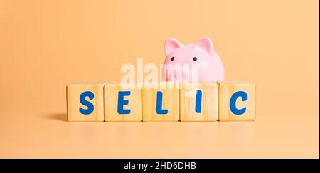 Le mot selic écrit sur des blocs de bois avec une banque de piggy.L'économie brésilienne. Banque D'Images