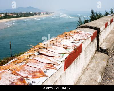 Hue, Vietnam - 13 mars 2016 : les calmars s'assèchent sur une rampe en béton avec vue sur la pittoresque lagune de Lap an et la plage de Lang Co Banque D'Images