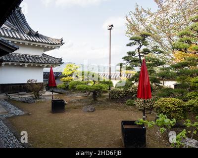 Kochi, Japon - 6 avril 2018 : jardin japonais traditionnel sur le terrain du château de Kochi Banque D'Images