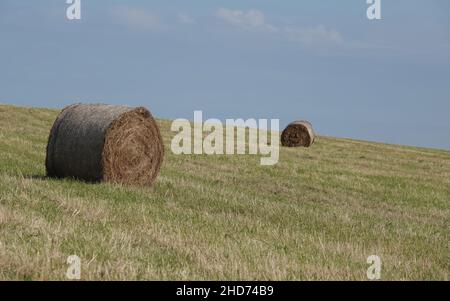 Belle vue sur le foin sur une colline herbeuse à la fin de l'été, Norfolk, Royaume-Uni Banque D'Images