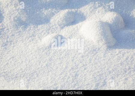 Hiver fond de neige. Texture blanche enneigée. Flocons de neige. Banque D'Images