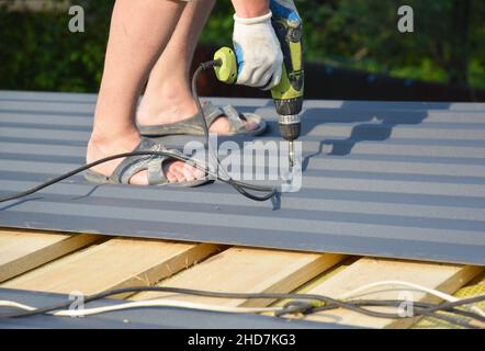 Construction de toitures métalliques.Un entrepreneur en bâtiment installe des tôles de couverture en tôle ondulée sur les chevrons de toit, en vissant les panneaux métalliques à l'aide de Banque D'Images