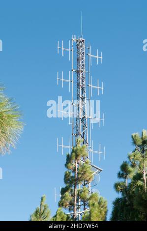 antennes de communication au milieu d'une forêt Banque D'Images