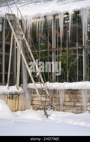 Photo de la serre en plein air dans le jardin botanique d'hiver enneigé, les glaces pendent du toit de serre Banque D'Images