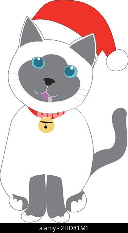 Chat siamois avec un chapeau de Noël Banque D'Images