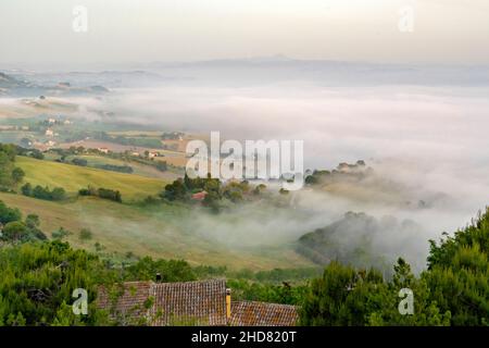 Vue de Potenza Picena, Fog, Marche, Italie, Europe Banque D'Images