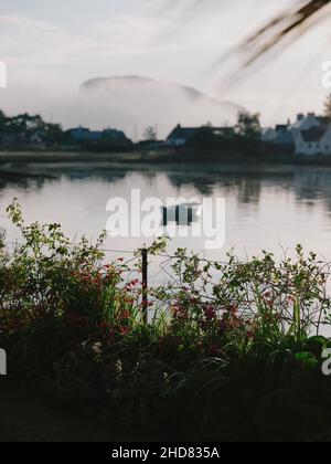 Le paysage de jardin de microclimat tempéré d'été de Plockton et Loch Carron à Lochalsh, Wester Ross, West Highlands Scotland, Royaume-Uni Banque D'Images