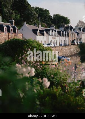 L'été tempéré microclimat cottage paysage de jardin de Plockton et Loch Carron à Lochalsh, Wester Ross, West Highlands Ecosse Royaume-Uni Banque D'Images