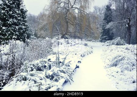 Isabella Plantation, jardin boisé en hiver, situé à Richmond Park Surrey, Angleterre. Banque D'Images