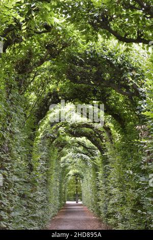 Passage piétonnier voûté traversant le parc de Schönbrunn, Vienne, Autriche. Banque D'Images