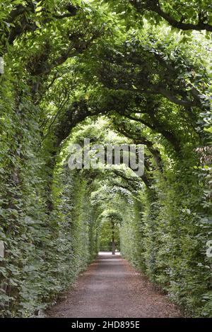 Passage piétonnier voûté traversant le parc de Schönbrunn, Vienne, Autriche. Banque D'Images