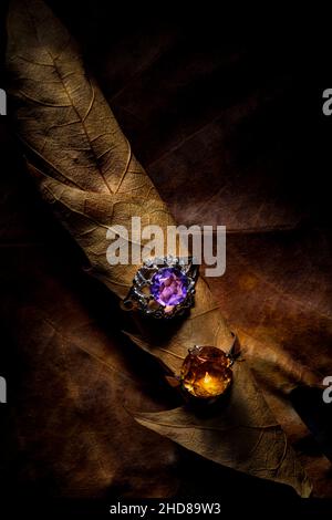 Anneaux ambrées et améthystes sur les feuilles d'automne. Banque D'Images