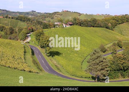 Impression de la région de la vinerie Suedsteiermark Banque D'Images