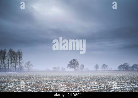 Campagne rurale, champ de campagne anglaise dans la brume atmosphérique, hivernale avec une légère couverture de neige sur le sol. Janvier paysage naturel du Royaume-Uni. Banque D'Images