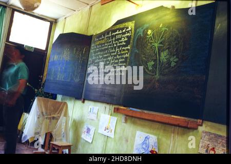 Archives 90ies : élèves de l'école privée Steiner, Saint-Genis Laval, Rhône, France, 1995 Banque D'Images
