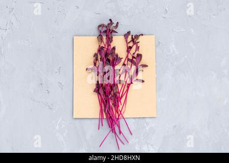 Flat Lay Top vue sur les microverts d'amaranth frais sur fond de béton gris.Un mode de vie sain.Pousses en croissance.Concept de vie verte.Aliments biologiques. Banque D'Images
