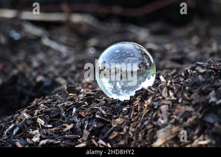 Environnement concept, une boule de cristal repose sur une pile de copeaux d'écorce, reflet du paysage. Concept et thème de la nature, protection de l'environnement Banque D'Images