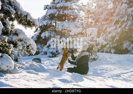 Une jeune femme joue avec son Cocker américain dans la forêt d'hiver parmi les pins enneigés.Le chien saute pour un jouet. Banque D'Images