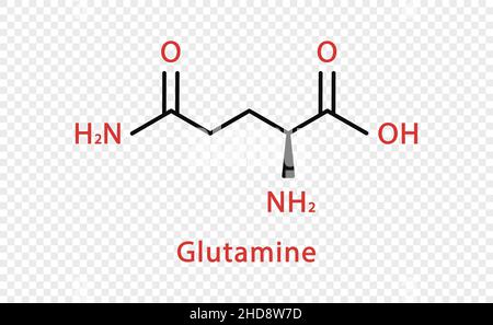 Formule chimique de glutamine.Formule chimique structurale de la glutamine isolée sur fond transparent. Illustration de Vecteur
