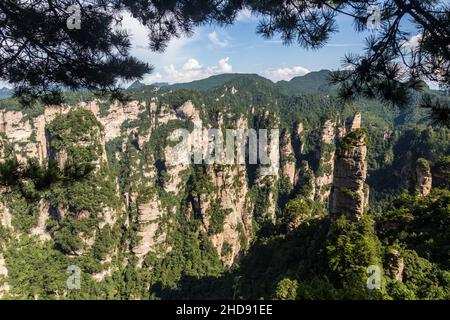 Piliers rocheux dans le parc forestier national de Zhangjiajie, dans la province de Hunan, en Chine Banque D'Images