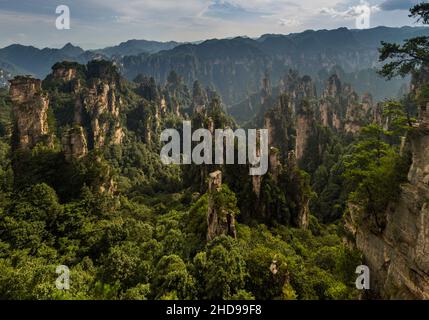 Vue aérienne des piliers de grès de la zone d'intérêt touristique et historique de Wulingyuan dans le parc forestier national de Zhangjiajie, dans la province de Hunan, en Chine Banque D'Images