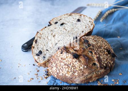 Faire lever le pain aux raisins secs et à l'avoine sur une serviette bleue sur fond gris.Concept alimentaire fermenté. Banque D'Images