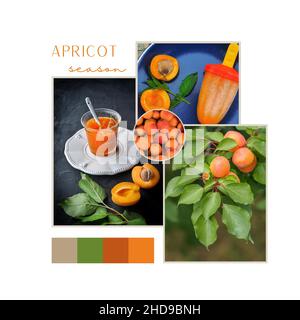 Saison abricot.Collage de trois images - fruits frais, confiture d'abricot maison et crème glacée.Tableau d'humeur.Modèle de médias sociaux. Banque D'Images
