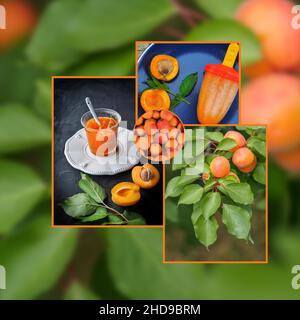 Saison abricot.Collage de trois images - fruits frais, confiture d'abricot maison et crème glacée.Tableau d'humeur.Modèle de médias sociaux. Banque D'Images