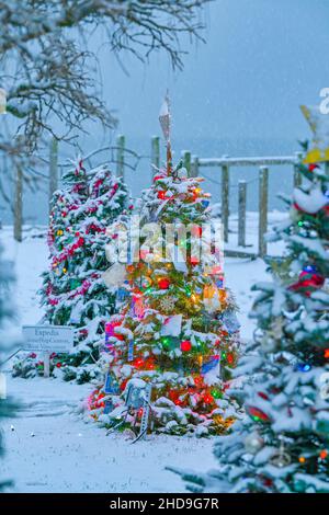 Festival of Lights, Dundarave, West Vancouver (Colombie-Britannique), Canada Banque D'Images