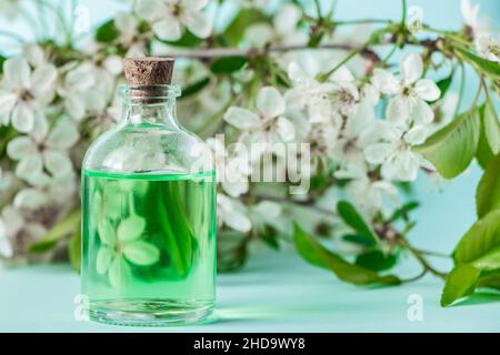 Huile essentielle aromatique en bouteille de verre et fleurs sur fond bleu. Concept d'aromathérapie et de spa. Fragrances rafraîchissantes pour la détente. Banque D'Images