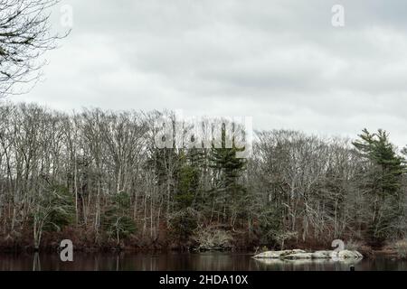 Feuilles d'arbre séchées en plus de la rivière coulant et du barrage artificiel.Cette photo a été prise dans des montagnes blanches. Banque D'Images