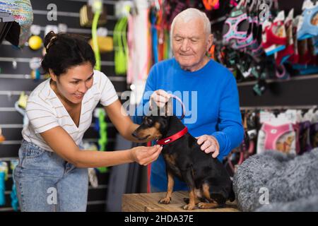 Femme choisissant le collier pour son chien dans la boutique d'animaux de compagnie Banque D'Images