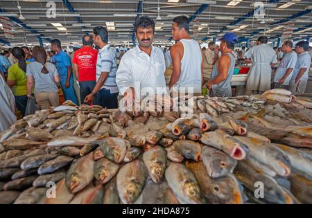 Portrait d'un vendeur non identifié qui vend du poisson au Fish Souk de Dubaï. Banque D'Images