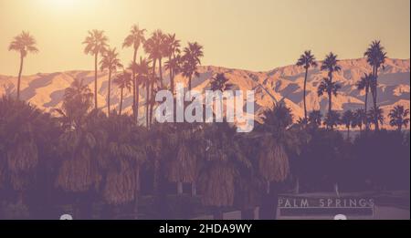 Panorama de couleur violet mat de Palm Springs.Palmiers et montagnes en arrière-plan.Coachella Velley Californie, États-Unis d'Amérique. Banque D'Images