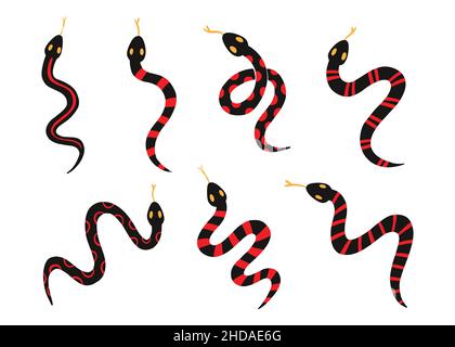 Ensemble de vecteurs de caniche à motif serpent corail.Collection Graphic Clipart Design Illustration de Vecteur