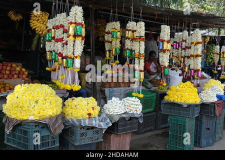 20 décembre 2021, guirlande colorée fleur vendre dans les étals du marché à Karnataka, Inde, ces fleurs sont utilisées pour les décorations de mariage, temple c Banque D'Images