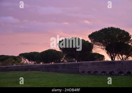 Photos prises au coucher du soleil lors d'une promenade dans le magnifique parc des aqueducs de Rome, avec les ruines majestueuses des anciens aqueducs romains et des arbres Banque D'Images