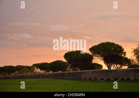 Photos prises au coucher du soleil lors d'une promenade dans le magnifique parc des aqueducs de Rome, avec les ruines majestueuses des anciens aqueducs romains et des arbres Banque D'Images