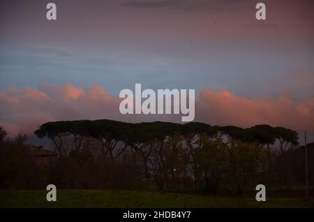 Photos prises au coucher du soleil lors d'une promenade dans le magnifique parc des aqueducs de Rome, avec les ruines majestueuses des anciens aqueducs romains et des arbres Banque D'Images