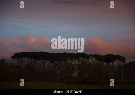 Photos prises au coucher du soleil lors d'une promenade dans le magnifique parc des aqueducs de Rome, avec les ruines majestueuses des anciens aqueducs romains et des arbres Banque D'Images