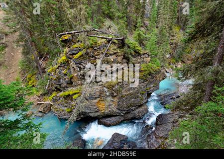 Une rivière s'arrête dans le canyon Johnston, dans le parc national Banff, au Canada Banque D'Images