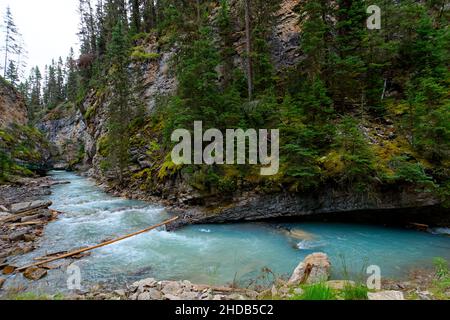 Une rivière s'arrête dans le canyon Johnston, dans le parc national Banff, au Canada Banque D'Images